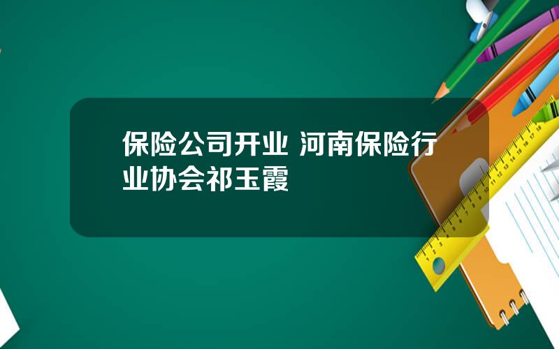 保险公司开业 河南保险行业协会祁玉霞